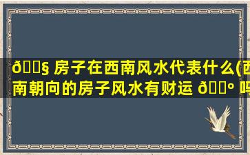 🐧 房子在西南风水代表什么(西南朝向的房子风水有财运 🐺 吗)